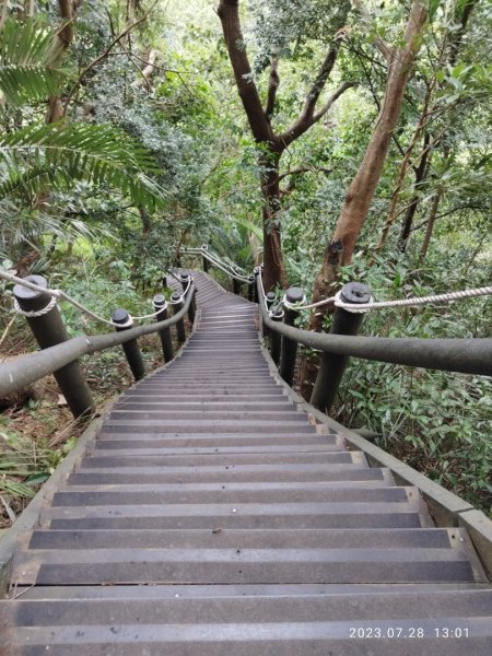 觀音山、尖山（占山）登山步道2233751