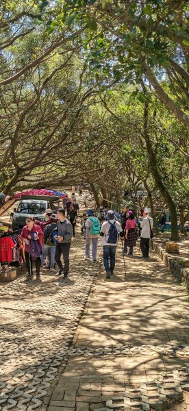 2026-0315 桃園虎頭山3015939