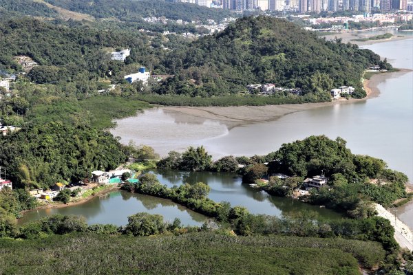 HK - 白燕岩1661211