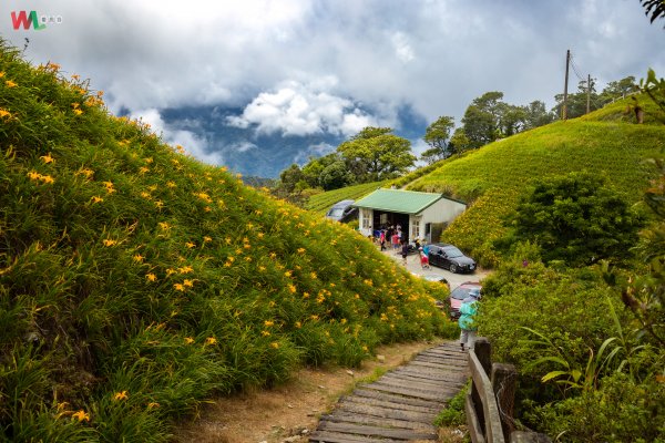 WL 愛旅行【太麻里山】653585