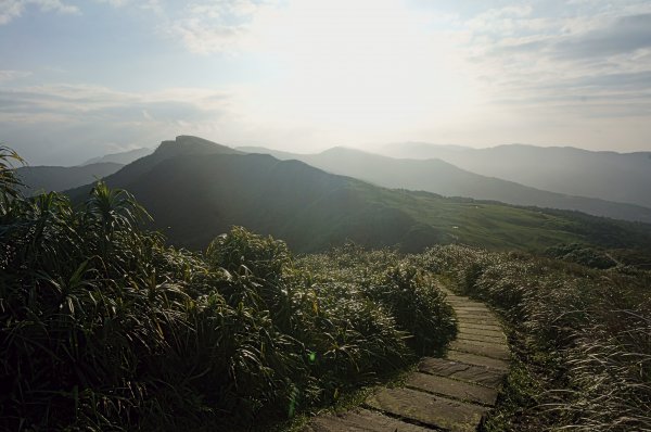 灣坑頭山 桃源谷步道 連走2034866