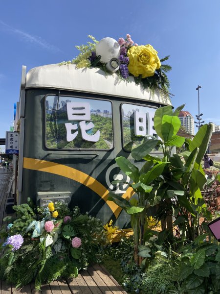 雲南----玉龍雪山，香格里拉，西雙版納3048642