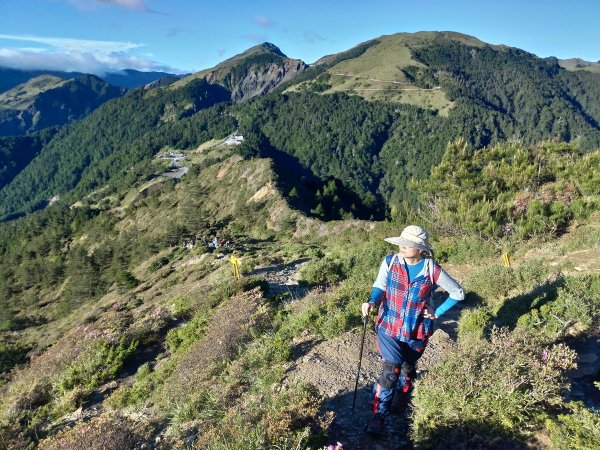 【南投縣仁愛鄉】合歡群峰2天1夜(下)1028147