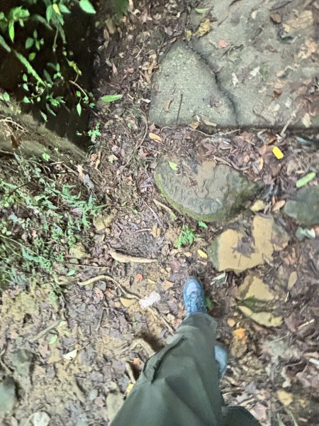 二格山、南邦寮山2941696