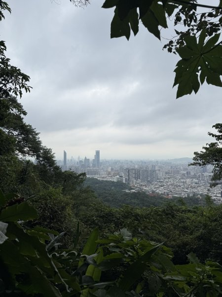 台北大縱走3072916