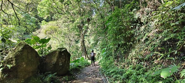 馬胎古道一二期-2026/05/163056518