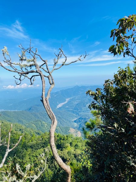 鳶嘴山-稍來山O型縱走(中級山 / 小百岳) 刺激攀岩。山嵐繚繞。傳神小象。杉樹林群。2583515