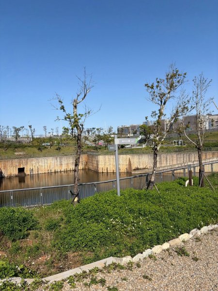 新北 林口 森林步道3015289