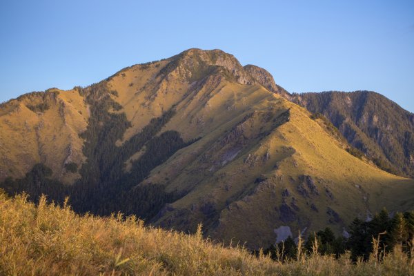 大小劍-油婆蘭全紀錄2674278
