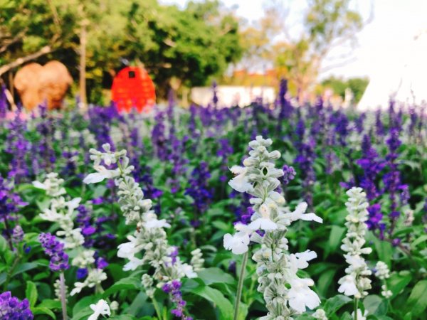 2018台中花博豐原葫蘆墩公園465507