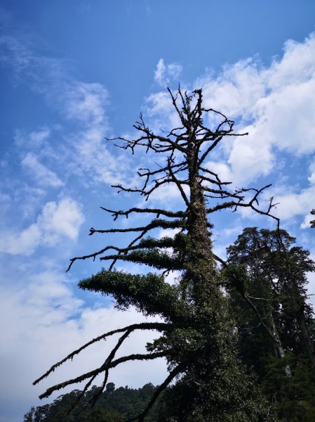 巴庫拉斯，七彩湖1339133