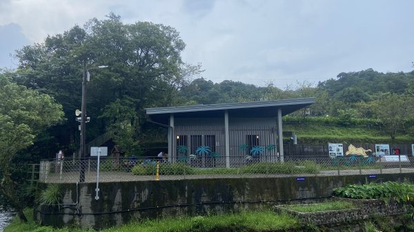 泰平國小的辭職嶺|Taiping|崩山坑古道|虎豹潭|峯花雪月2605869