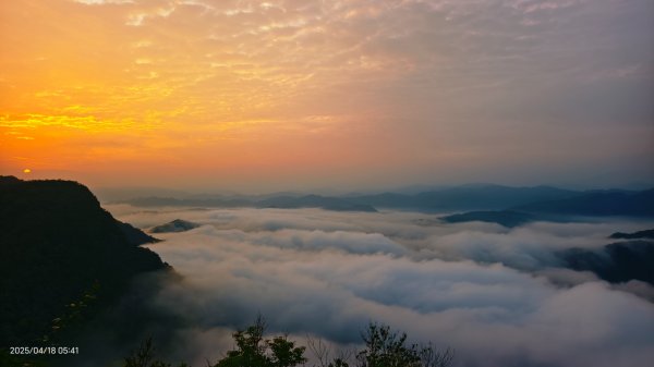 #翡翠水庫壩頂 #日出雲海 #火燒雲 #藍腹鷴 #夜路走多了總會遇到鬼？！#松月櫻 4/182764590