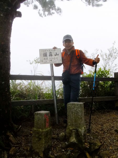 萬里長城般的木棧道【台中大坑】頭嵙山212921