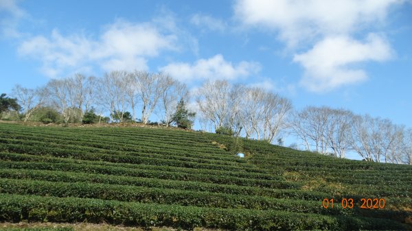 首登牡丹山-新店40份坪林南山寺五分山796056