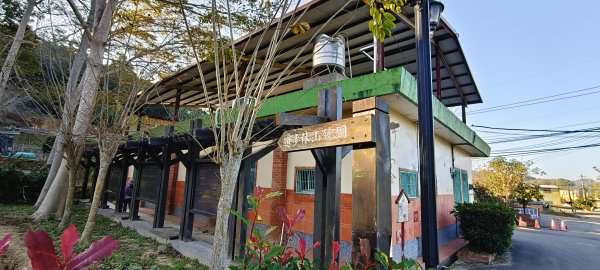 2026/01/10_銅鏡山林步道2980584