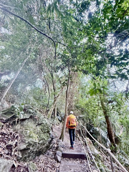 雪山坑步道悠遊順訪雪山坑山(再訪)  2025.12.32953743