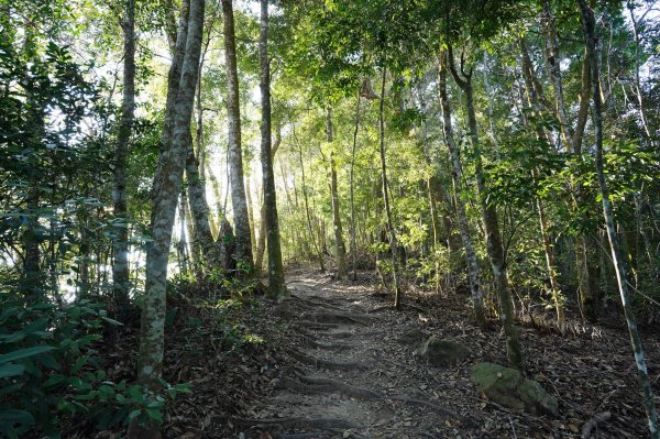 臺中 和平 白毛山、次郎山2670914