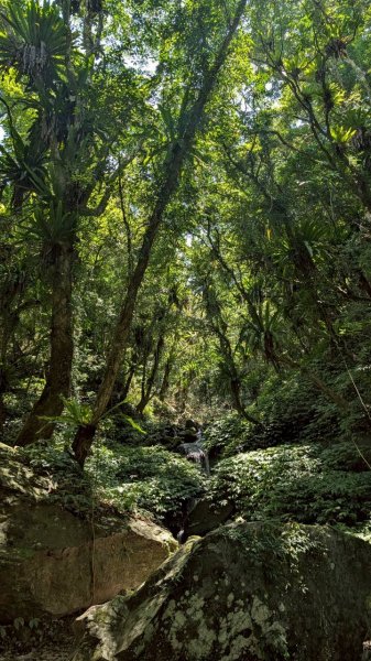 三角崙山、聖母登山（抹茶山）步道3067689