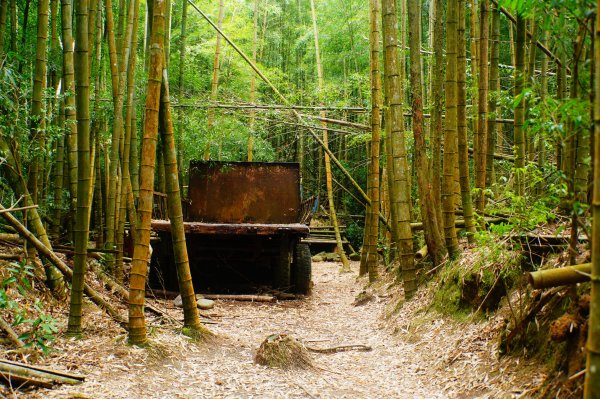 臺中 和平 大崠山、長壽山、醜崠山3028319