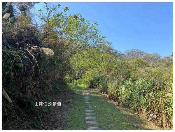 中央尖、山背伯公步道O型路線2708768