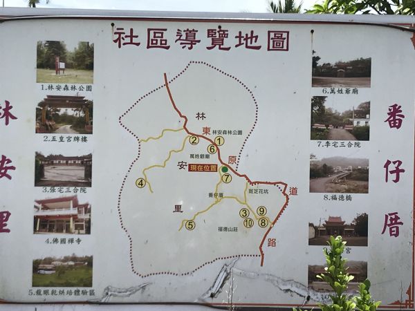 林安森林公園(大寮山)遊東源389441