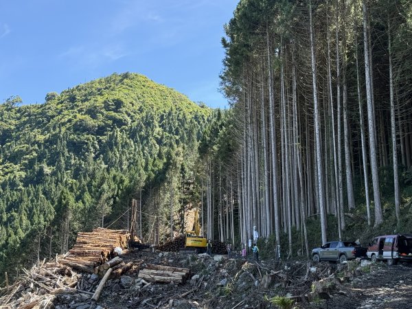 大雪山林道-屋我尾山O繞 202506152816270