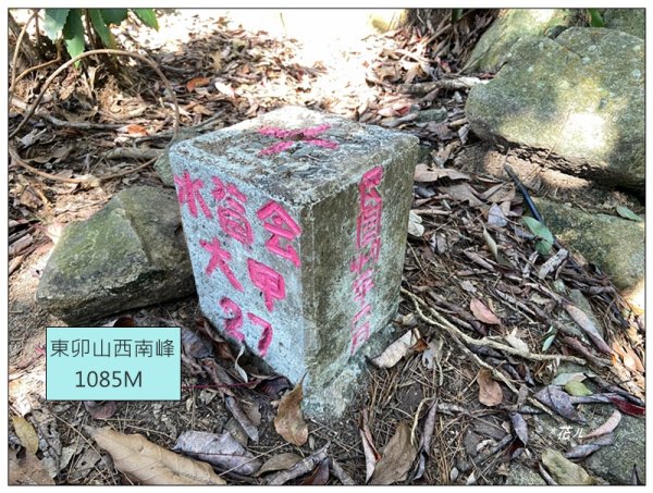 東卯山、東卯山西峰、東卯山西南峰 連走2932839
