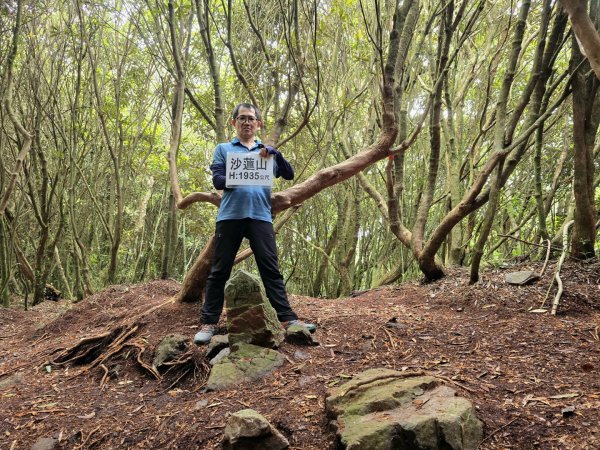 橫嶺山／沙蓮山／笛吹山O繞2787702