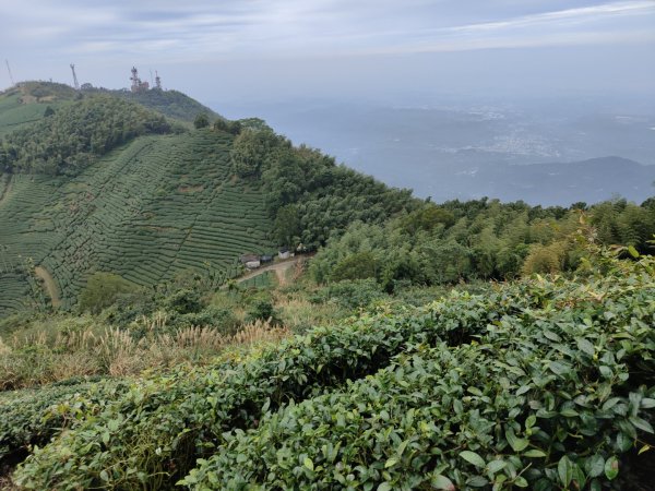 2023.12.23 梨子腳山2833266