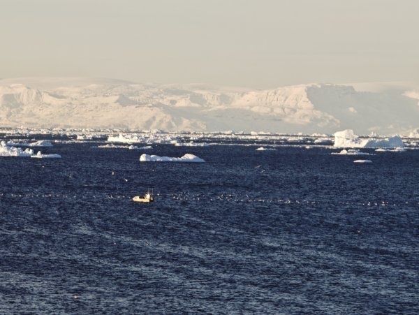 [紐約馬之行-33] 2025_1106 峽灣遊客中心2947930