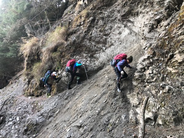 啟動高山度假模式～阿蓮五虎兄弟之馬博橫斷2073041