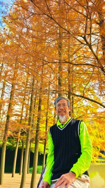 #花卉試驗中心 #永公路500巷 #平菁街42巷 #原住民公園 #士林官邸 1/42980412