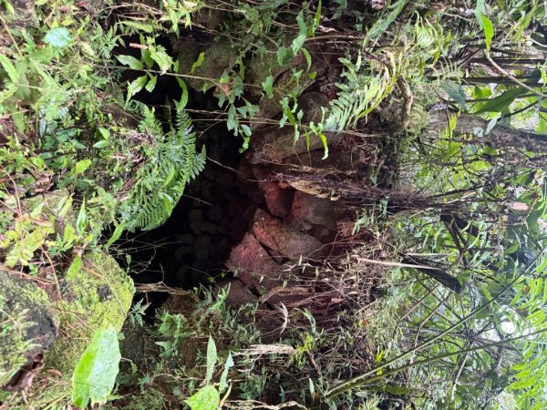 三林一后一紙及武山煤礦文化遺址8字行2991114
