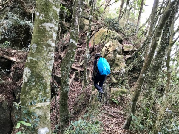 嘎色鬧走那結山1370916