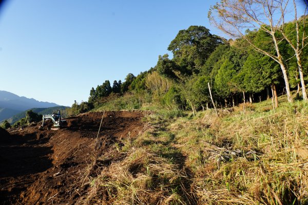 新竹 五峰 鳥嘴山、大窩山2956855