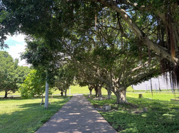 [跟著2025雙北世壯運探索雙北市-8/21] 2025_0615 微風輕艇航線（蘆洲微風園區）2815010