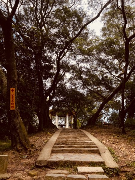 飛牛縱走-飛鳳山-中坑山-板根森林🌳-倒別牛山2591423