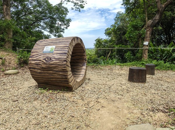 [微笑山線_第三段] 2026_0725 新北桃園登山步道_大湖之森步道3101682