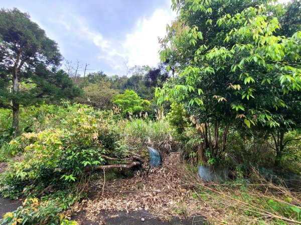 跑馬古道+礁溪美食2080385