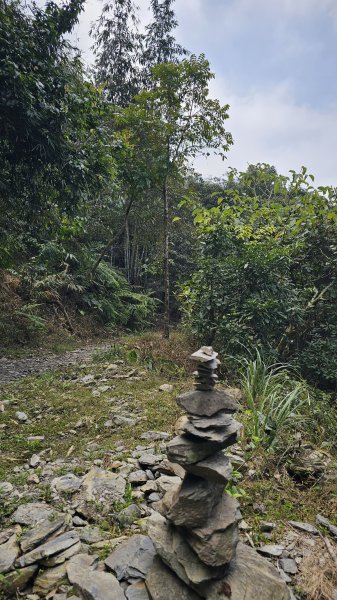 【第19次下山，好煩啊！🤣🤣】魔王小百岳-尾寮山⛰️，我還要繼續走下去嗎?3052368