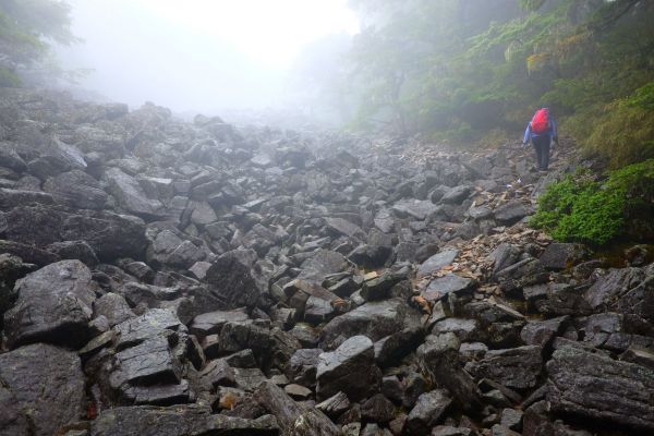 迷霧飄逸池有山392064