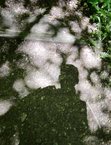 [美國行-05] 2026_0510 火雞跑步州立公園-步道四3059059