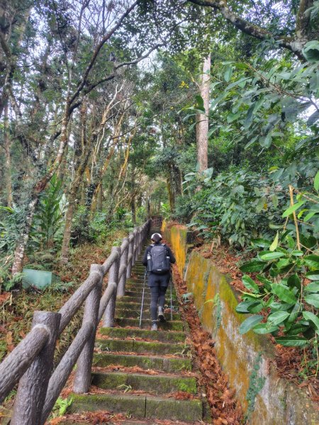 鳳鳴古道 鳳鳴山 南隘勇（南長城）古道 三湖山 八達嶺（龍骨）古道 綠色古道 延平古道2975280