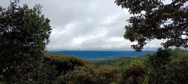 20231112_飛鳳山+觀日坪古道(含中坑山+石壁潭山)2344953