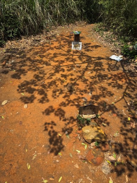 鵝公髻山-迷霧森林2768520