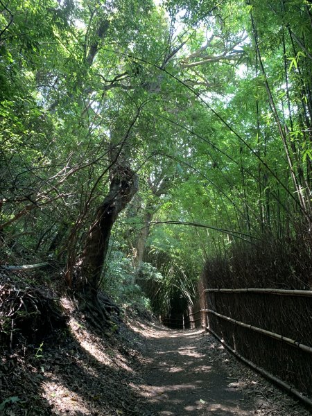 湖山國小步道-半嶺步道-橫嶺古道1980482