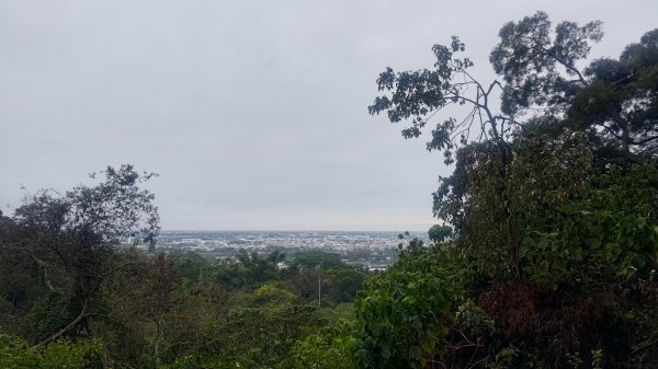 內樹尾、田中**山2708953