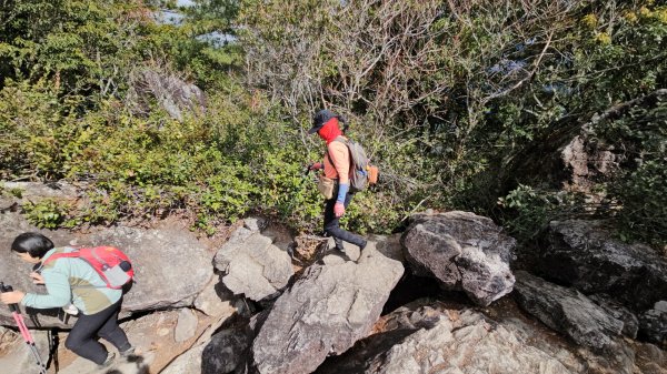 【谷關七雄】波津加(H1771.6m)肉腳配速成功2670475