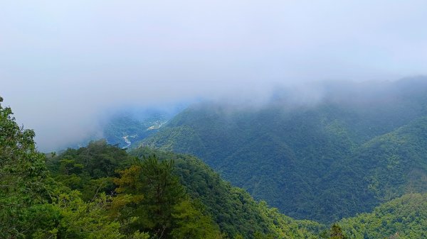 波津加山之鎮山犬1757394